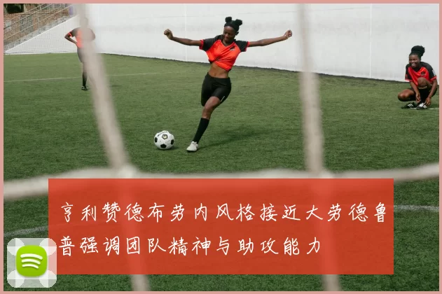 亨利赞德布劳内风格接近大劳德鲁普强调团队精神与助攻能力